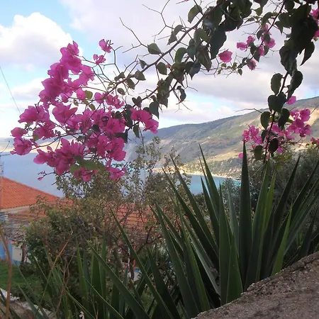 شقة فندقية Rogakia Village Est. 1983 Zóla