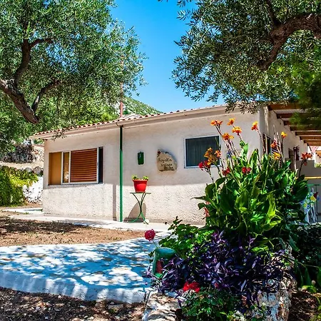 Rogakia Village Est. 1983 Zóla